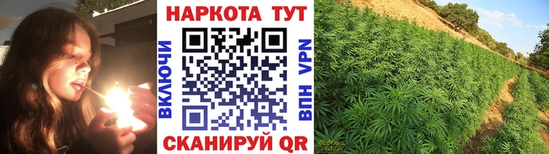 Купить закладку Кохма Cocaine  Псилоцибиновые грибы  Конопля  АМФ  Гашиш  Alpha-PVP 