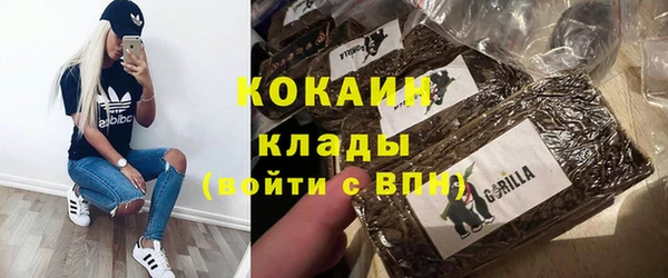 шишки Дмитров