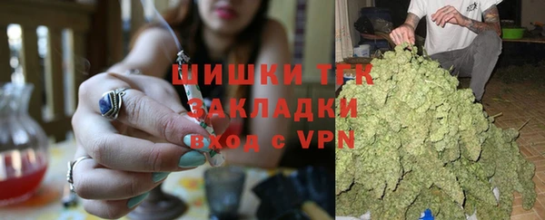 метадон Алексин