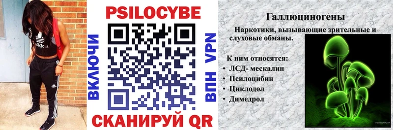 ОМГ ОМГ как зайти  Кохма  Псилоцибиновые грибы мухоморы 