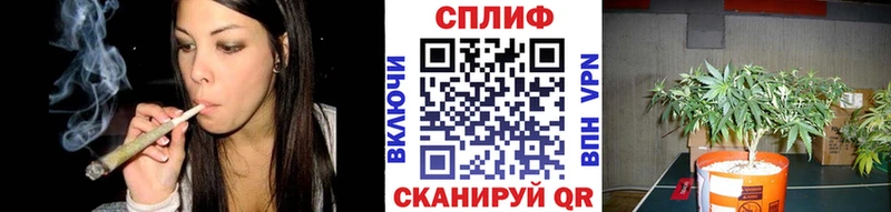 Марихуана марихуана  как найти наркотики  МЕГА ТОР  Кохма 